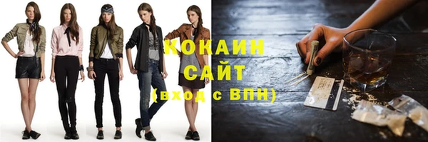твердый Алзамай