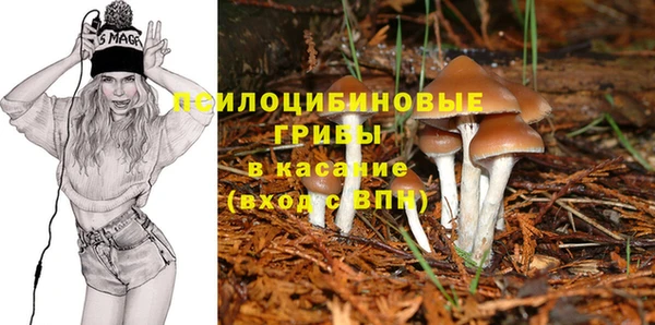 прущий лед Алексеевка