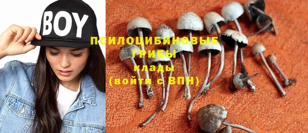 прущий лед Алексеевка