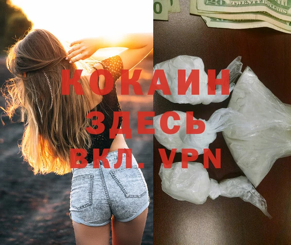 метадон Алексин
